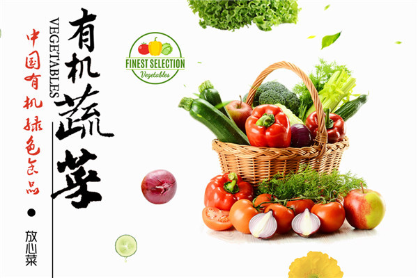 中國有機(jī)綠色食品加盟
