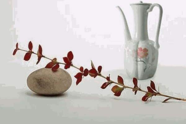 北方冠聯(lián)貿(mào)易白酒加盟