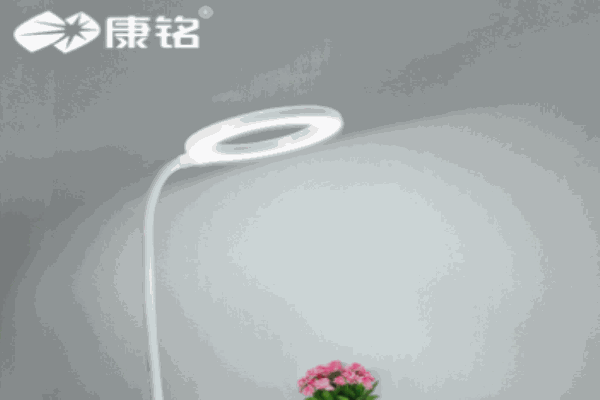 康銘燈飾加盟