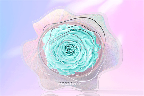 roseonly高端玫瑰及珠寶