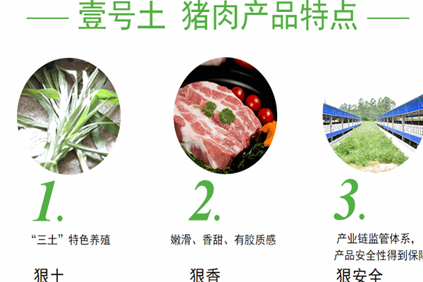 壹號(hào)土豬養(yǎng)殖加盟