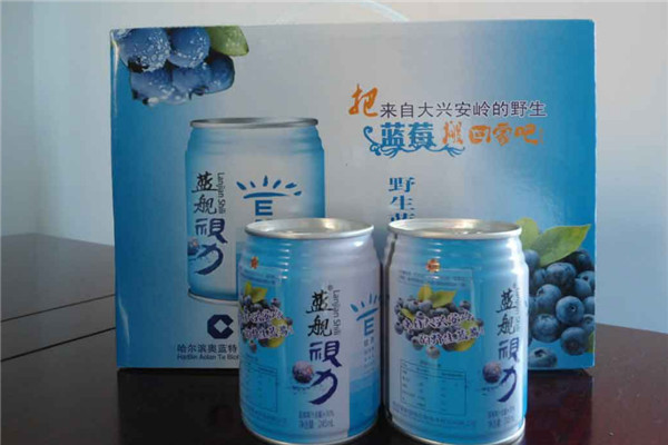 藍(lán)海艦隊(duì)藍(lán)莓飲料加盟