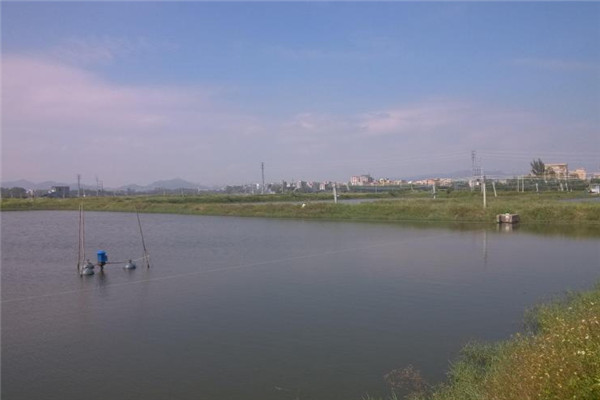 土流網(wǎng)加盟