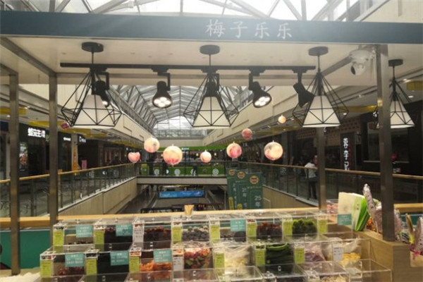 梅子樂樂休閑食品加盟