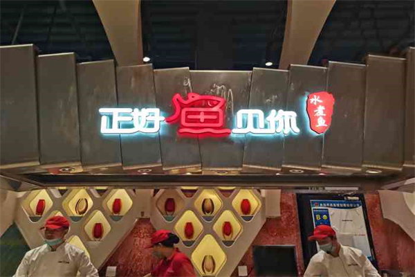 正好魚見你加盟