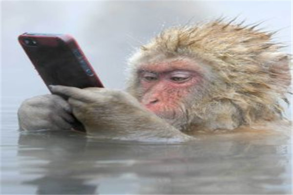 金點(diǎn)子DM廣告加盟