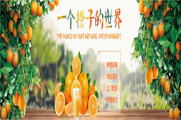 康果樂榨汁機(jī)加盟