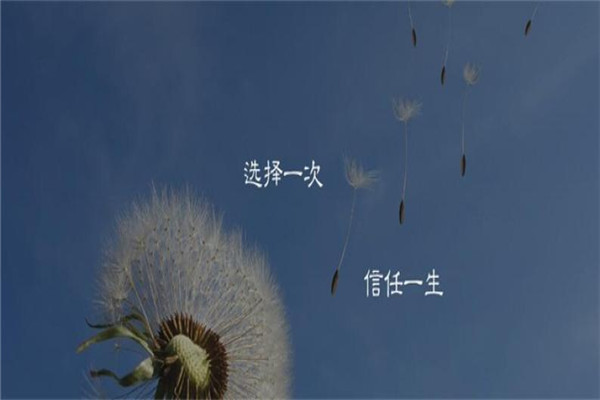 匯學電腦加盟