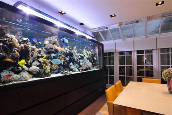 水野水族主題餐廳加盟