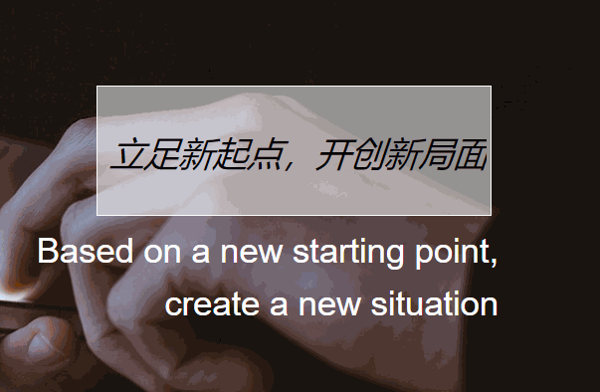 貓咕科技有限公司費多少錢?