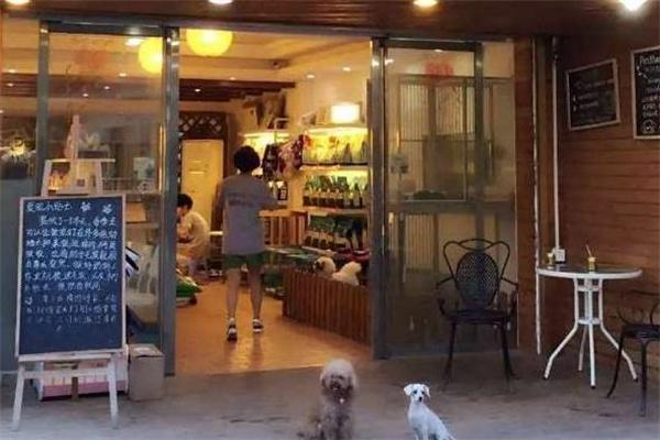 愛尚寵寵物店