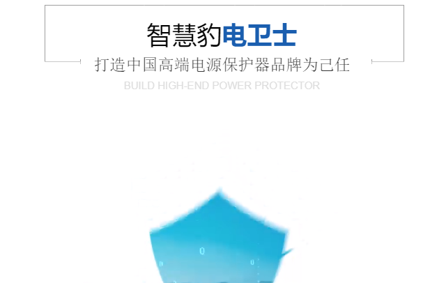 智慧豹有前景嗎?