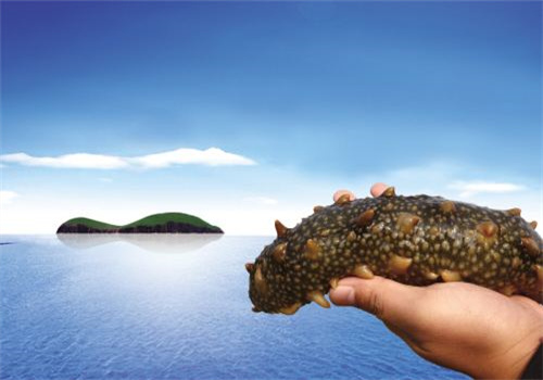 御真堂海參加盟
