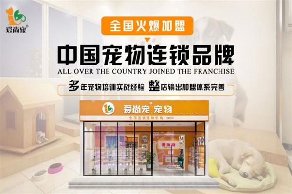 愛尚寵寵物店