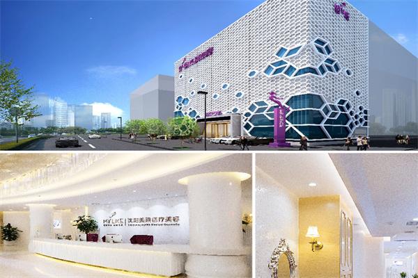 美萊醫(yī)療美容加盟