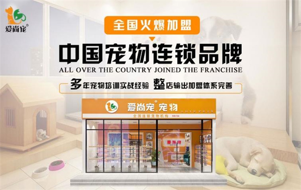 愛尚寵寵物店