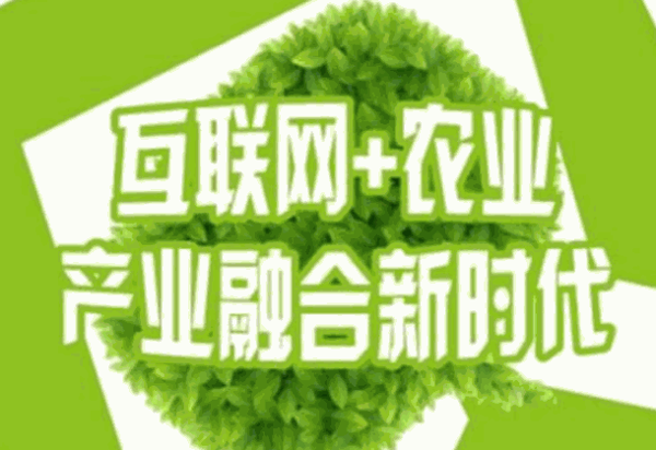村村通熱線?靠譜嗎?