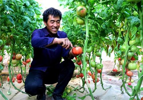 民勤縣東湖易發(fā)農(nóng)副產(chǎn)品購銷站加盟