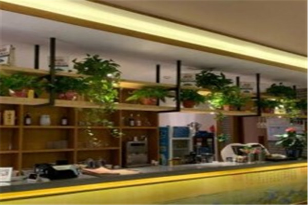新月光茶樓加盟