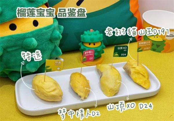 榴蓮寶寶