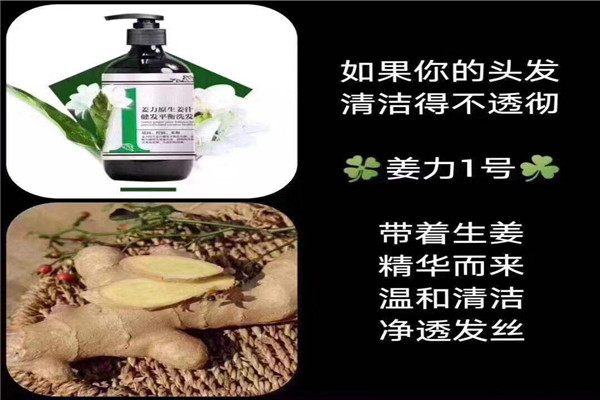 洗姜力洗發(fā)水加盟