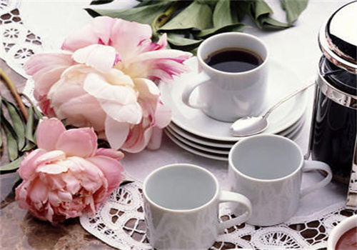 ct咖啡茶飲