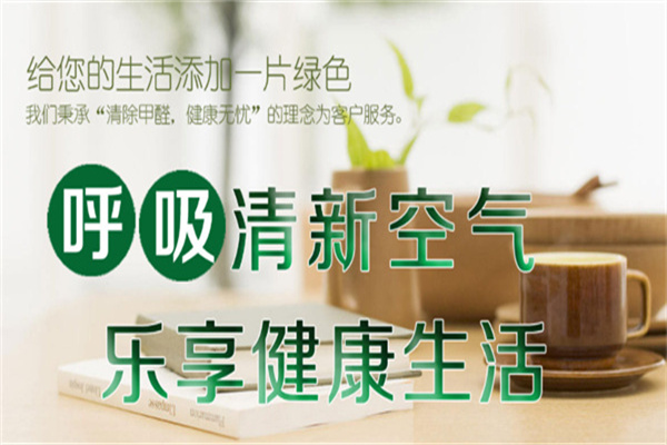 康麗萊除甲醛
