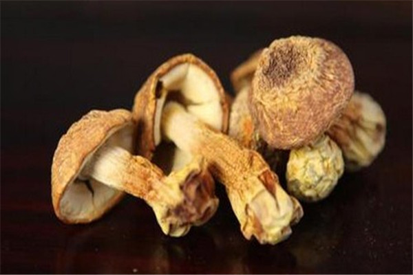 山老漢土特產(chǎn)加盟