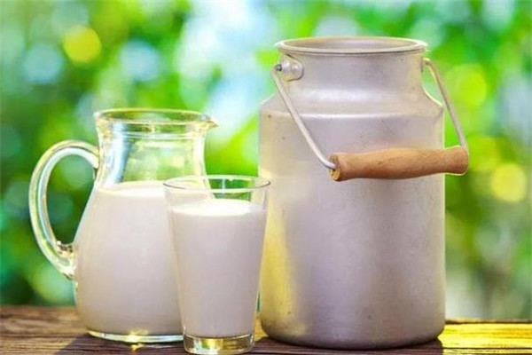 家家養(yǎng)的牛社區(qū)奶站