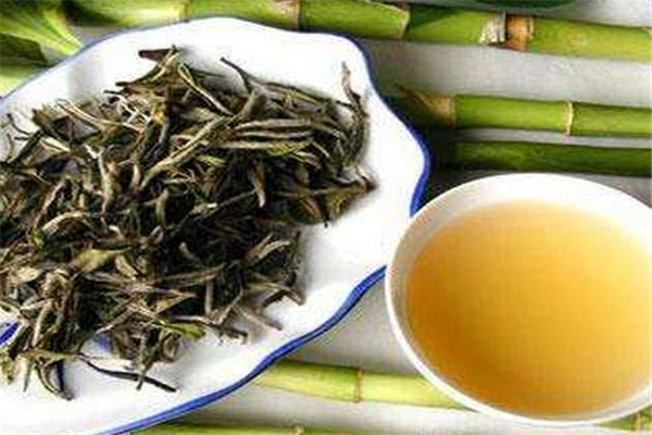 龍王山安吉白茶加盟