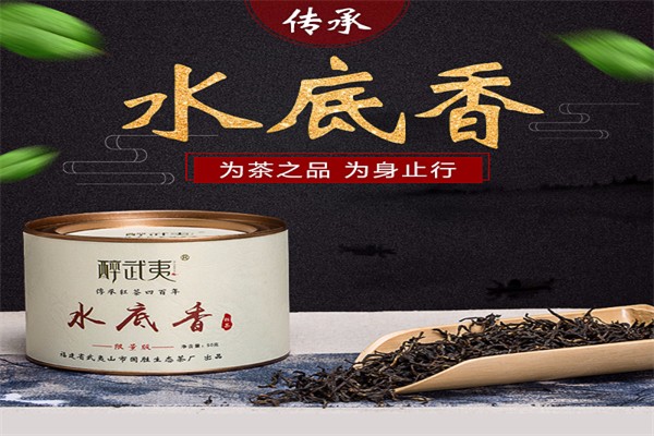 醉武夷茶葉加盟
