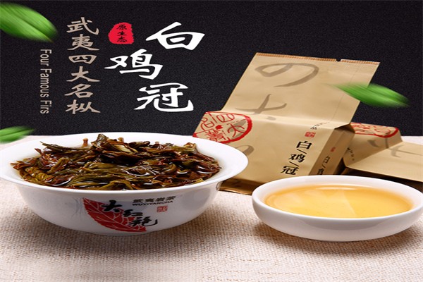 醉武夷茶葉加盟