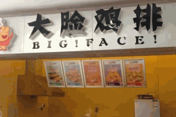 智者雞排飯