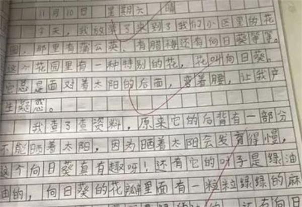 華語(yǔ)作文
