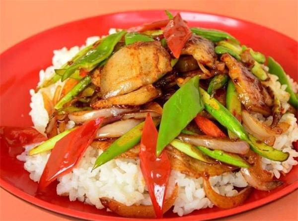 蓋澆飯哪個牌子的好？