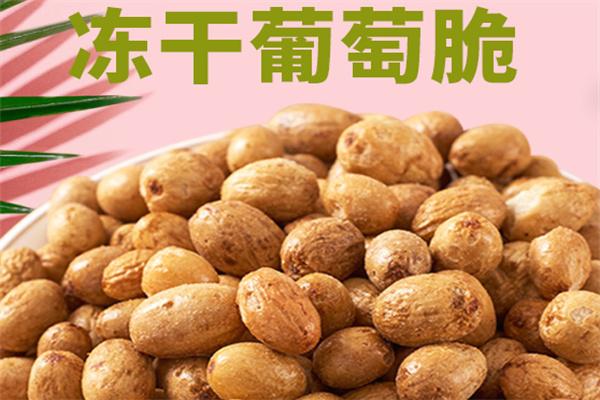 派樂(lè)滋Palarich果蔬巧克力