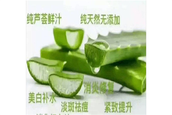 很好蘆薈