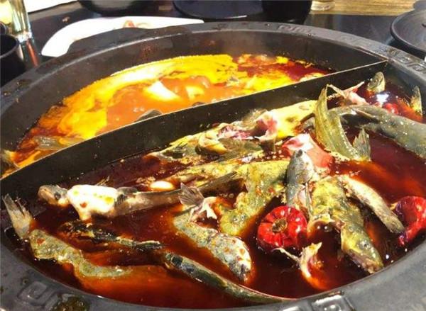 成都苗苗魚(yú)怎么樣？
