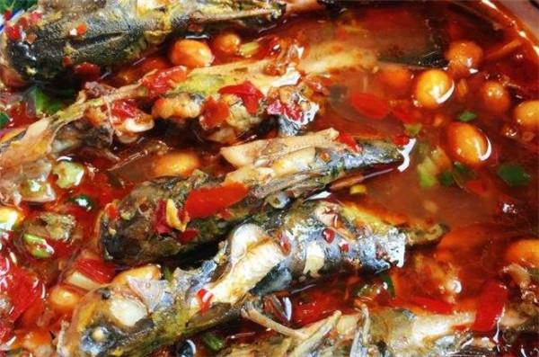 成都苗苗魚(yú)怎么樣？