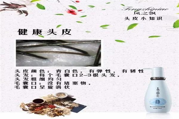 風(fēng)之飄洗發(fā)水加盟