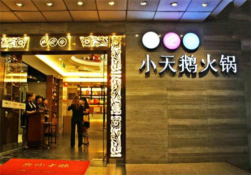 小天鵝火鍋餐廳加盟