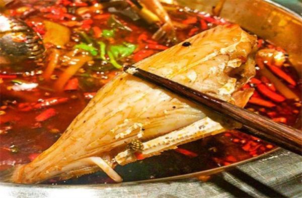 耗兒魚火鍋連鎖的費(fèi)用是多少？