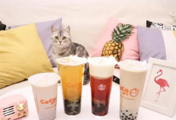 coco奶茶官網(wǎng)費(fèi)需要多少錢(qián)？1萬(wàn)元保證金不能少