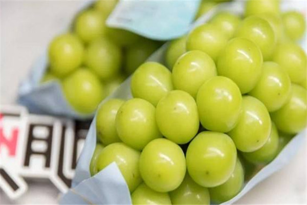 小果妹兒精品果業(yè)加盟