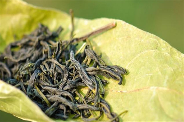 神馬茶業(yè)加盟