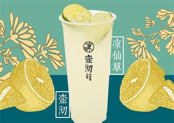 壺沏涼仙草