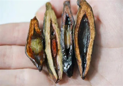 少年的你檳榔加盟