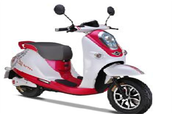 金獅電動(dòng)車(chē)