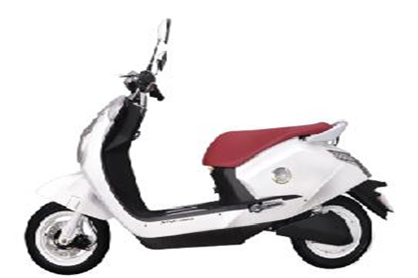 金獅電動(dòng)車(chē)