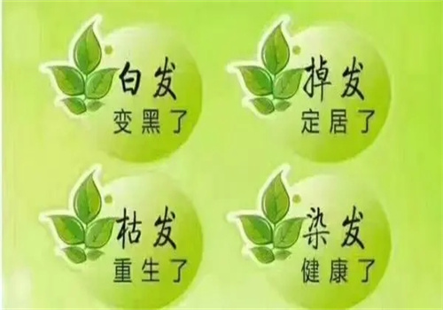 禾草青植物養(yǎng)發(fā)加盟